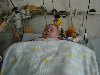 dsc02446.jpg