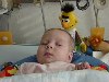 dsc02447.jpg