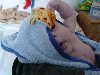 dsc02478.jpg