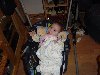dsc02513.jpg