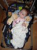 dsc02516.jpg