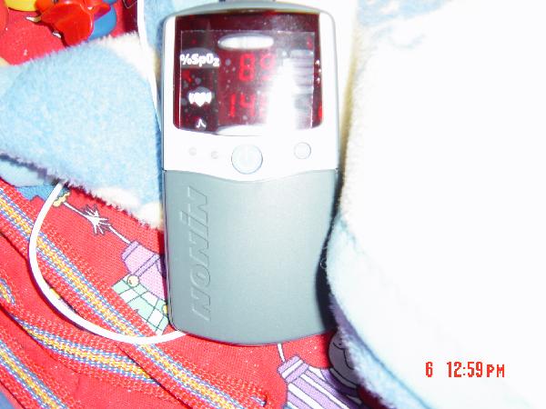 dsc02463.jpg