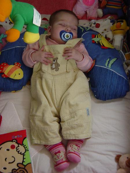 dsc02481.jpg