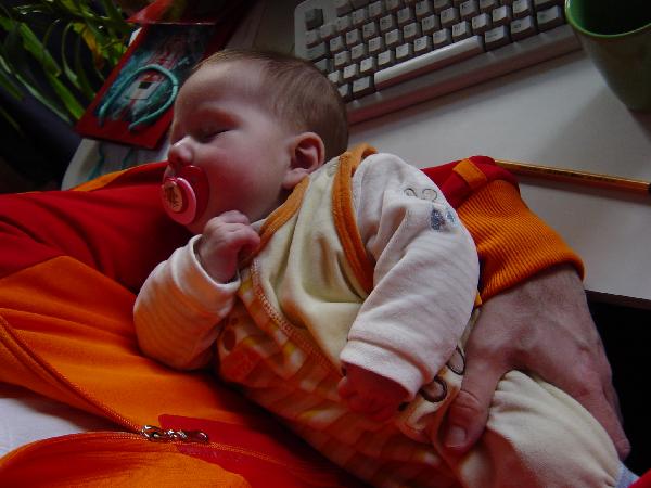 dsc02488.jpg