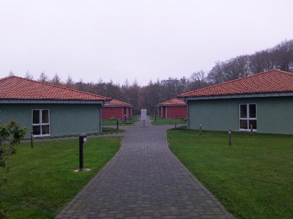 foto0047.jpg