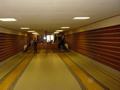 dsc04157.jpg