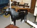 dsc04196.jpg